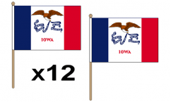 Iowa Hand Flags